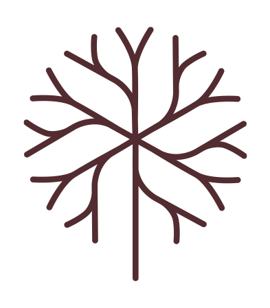 Andreia Noveli | Neuropsicoterapia